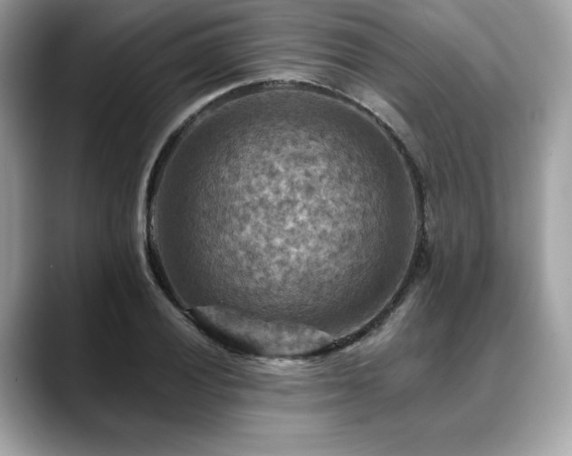 X0000088751028200705311508