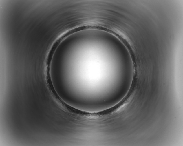 X0000088751029200705311508