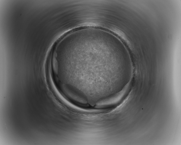 X0000088751030200705311508