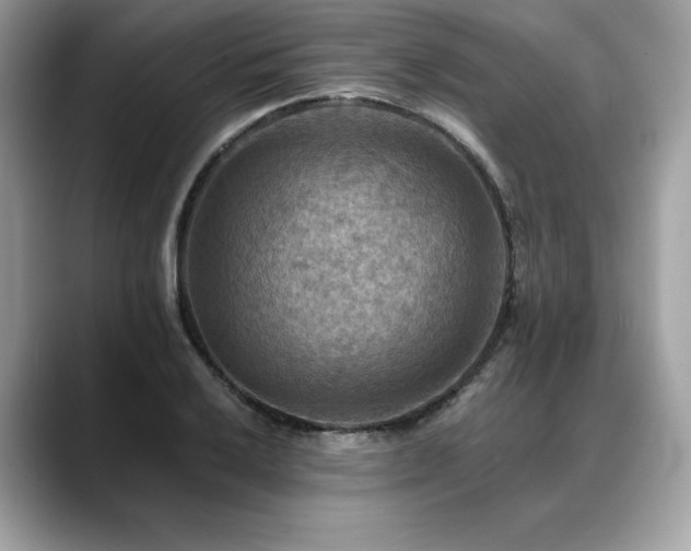 X0000088751032200705311508