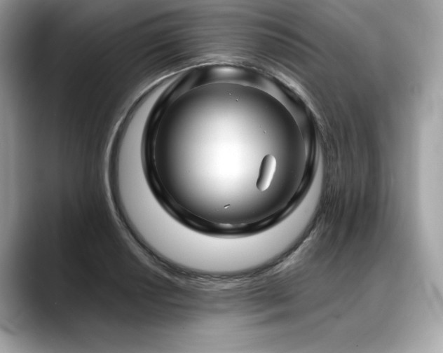 X0000088751034200705311508