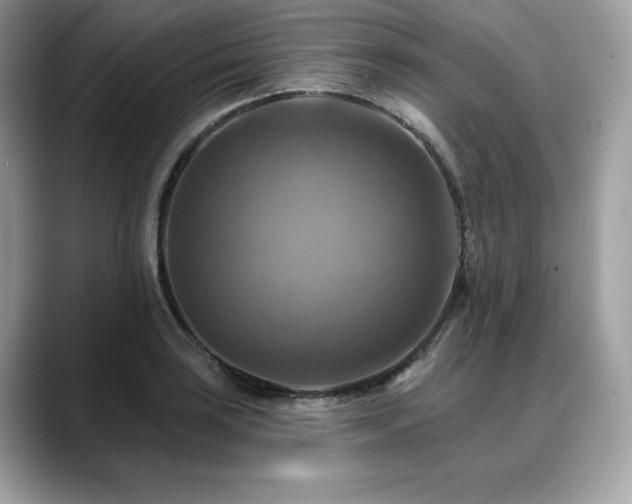 X0000088751035200705311508