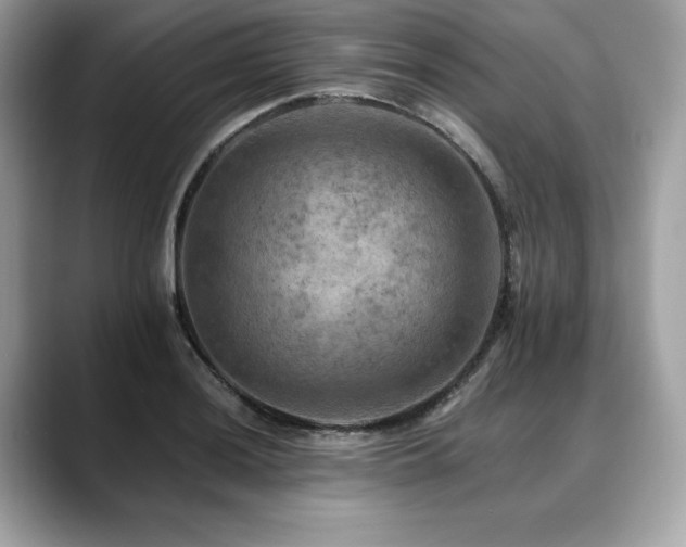 X0000088751036200705311508