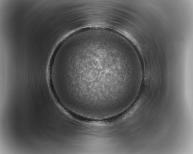 X0000088751037200705311508