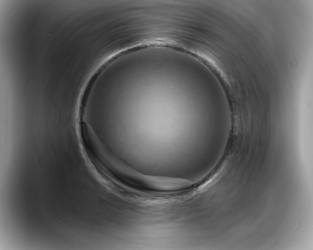 X0000088751038200705311508