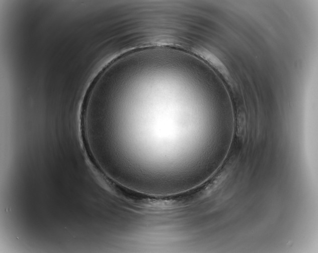 X0000088751039200705311508