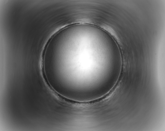X0000088751040200705311508
