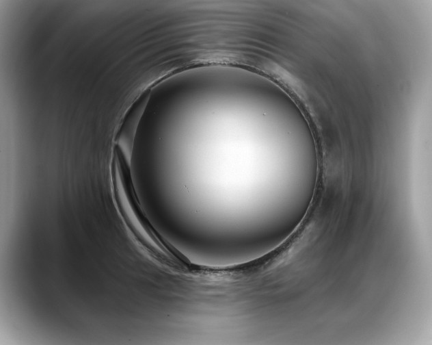 X0000088751041200705311508