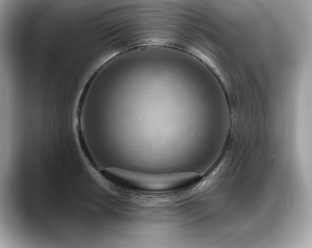 X0000088751042200705311508