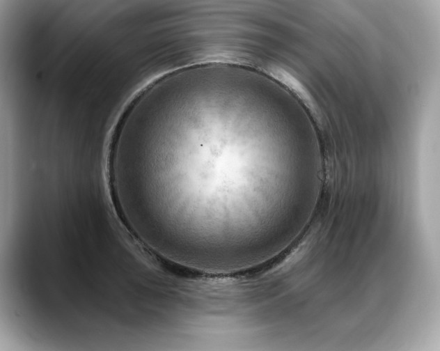 X0000088751043200705311508