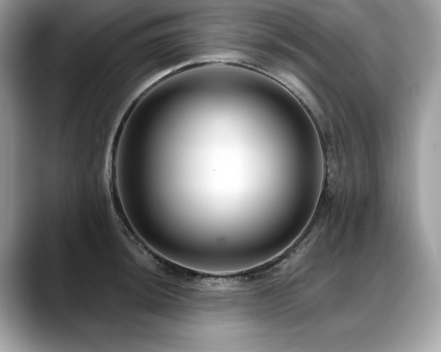 X0000088751044200705311508
