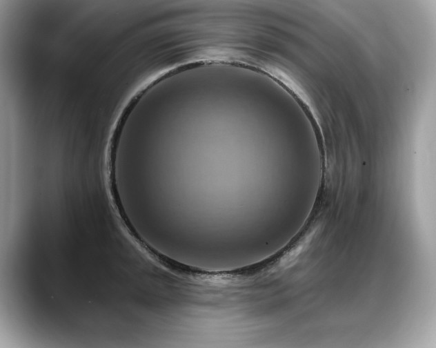 X0000088751045200705311508