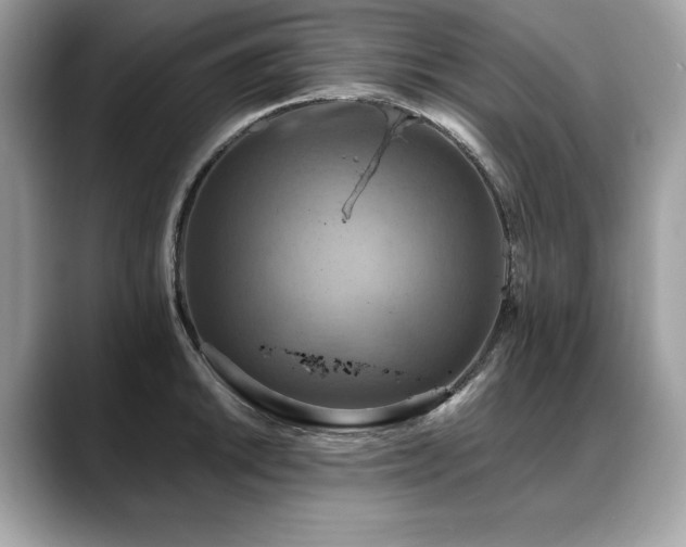 X0000088751046200705311508