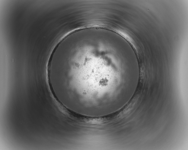 X0000088751047200705311508