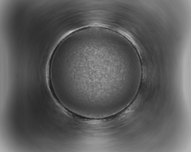 X0000088751048200705311508
