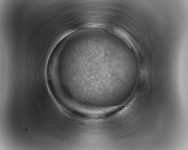 X0000088751050200705311508