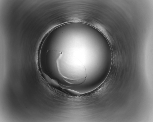 X0000088751051200705311508