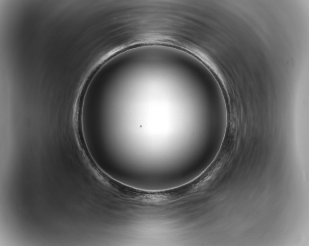 X0000088751053200705311508