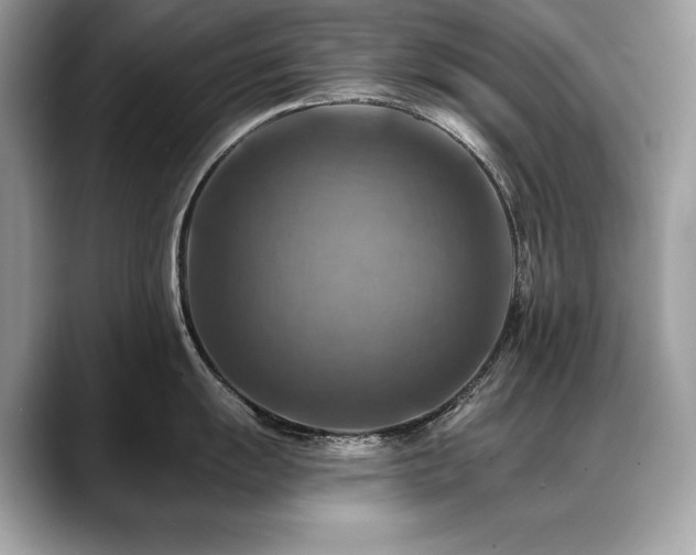 X0000088751055200705311508