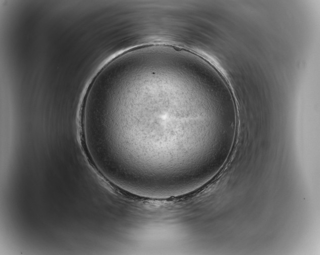 X0000088751056200705311508