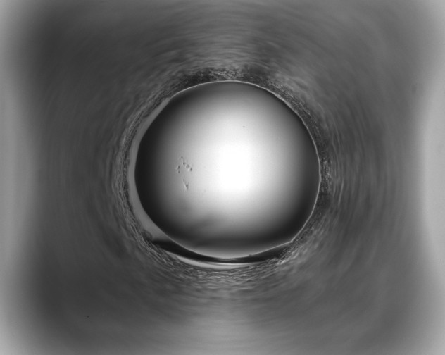 X0000088751057200705311508