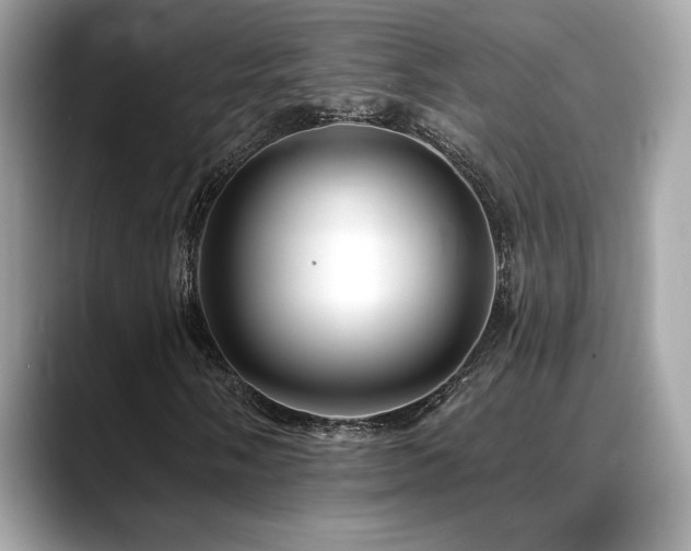 X0000088751058200705311508