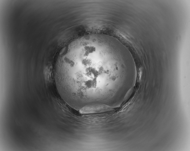 X0000088751059200705311508