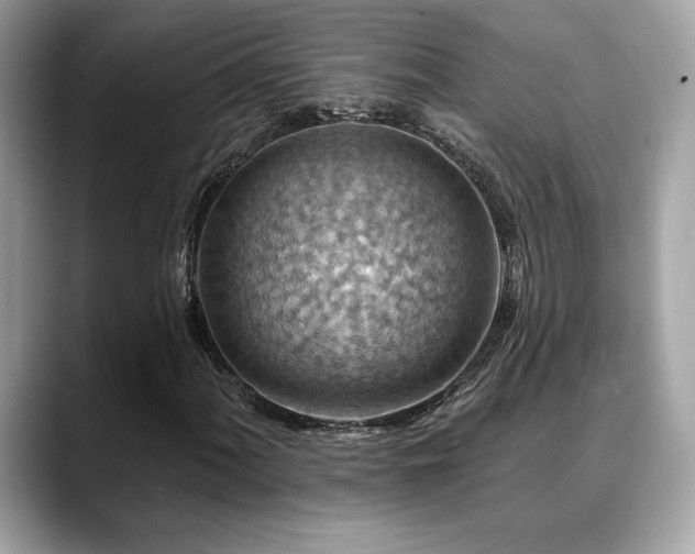 X0000088751060200705311508