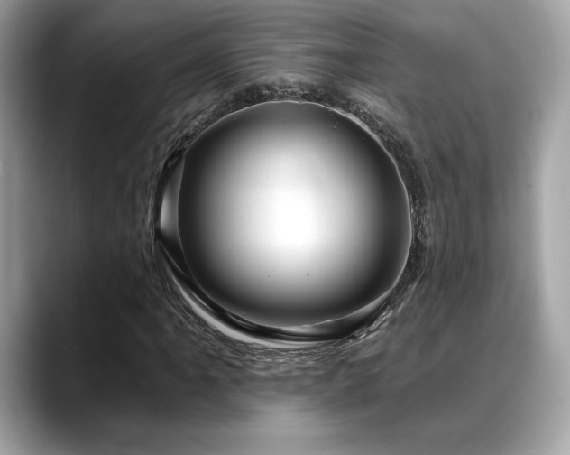 X0000088751061200705311508