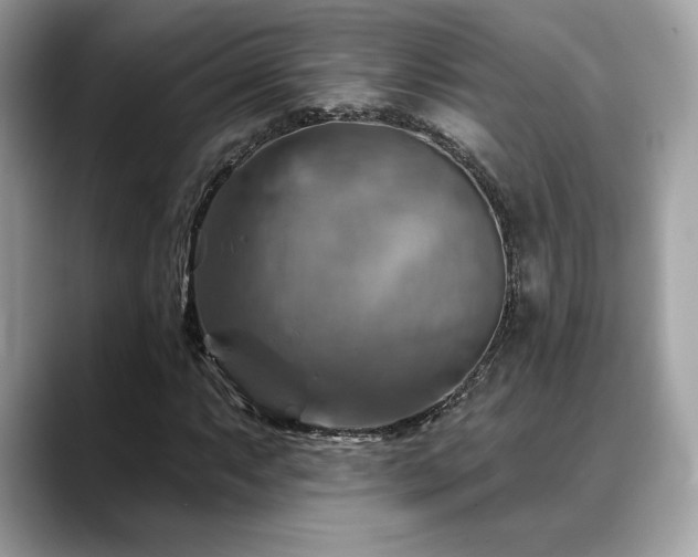 X0000088751063200705311508