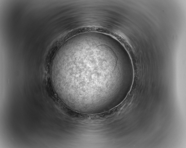 X0000088751064200705311508