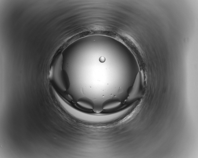 X0000088751065200705311508