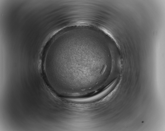 X0000088751066200705311508