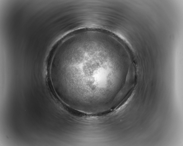 X0000088751070200705311508