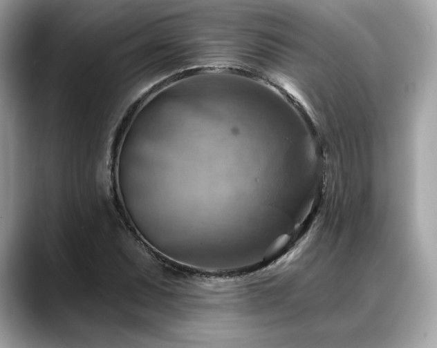 X0000088751071200705311508