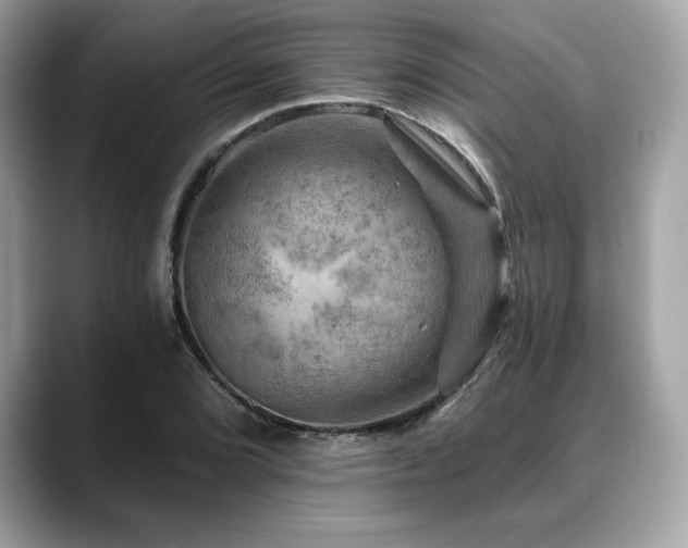 X0000088751072200705311507
