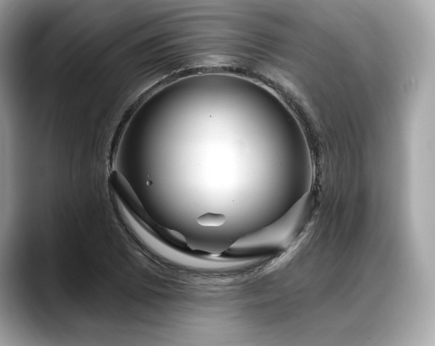 X0000088751073200705311507