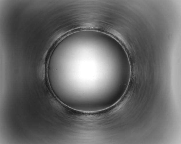 X0000088751075200705311507
