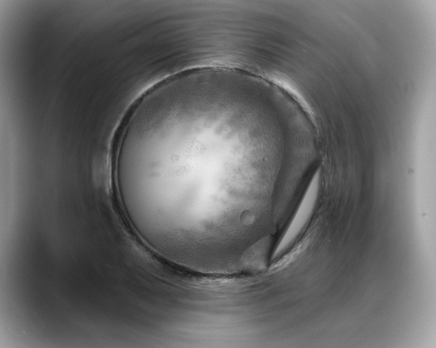 X0000088751079200705311507