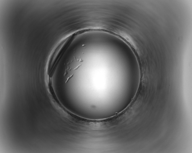 X0000088751080200705311507