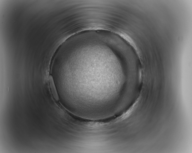 X0000088751081200705311507