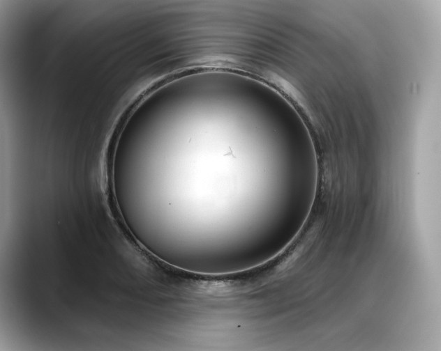 X0000088751082200705311507