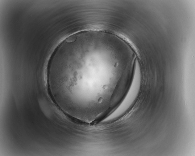 X0000088751083200705311507