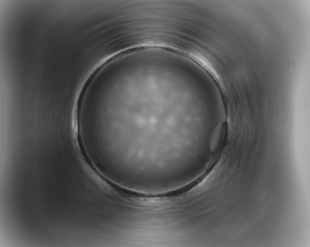X0000088751084200705311507