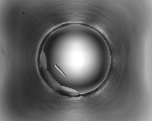 X0000088751085200705311507