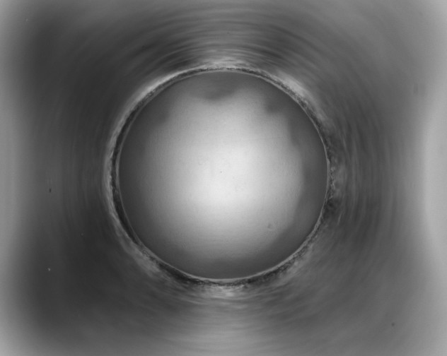 X0000088751086200705311507
