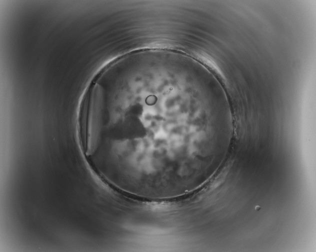 X0000088751087200705311507