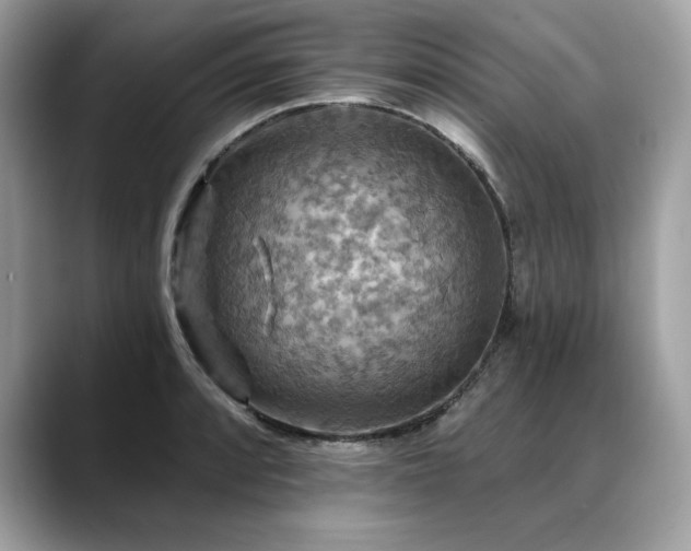 X0000088751088200705311507