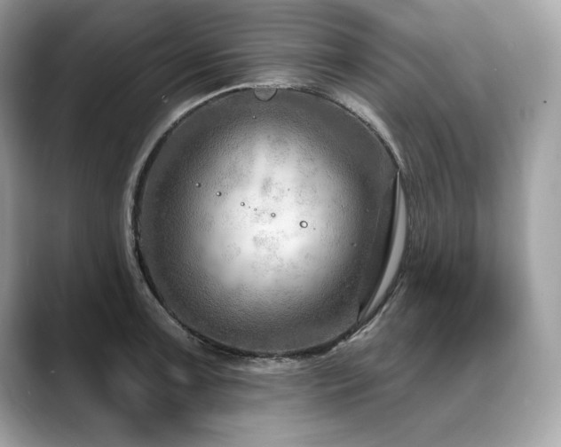 X0000088751091200705311507