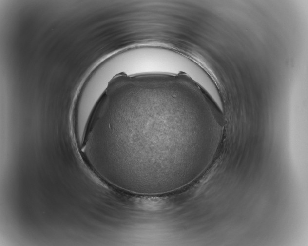 X0000088751092200705311507